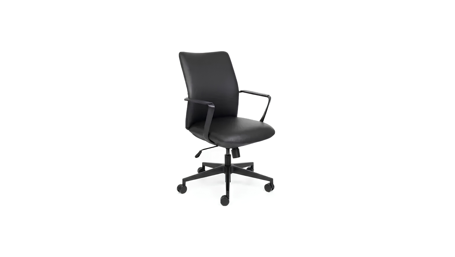 Director Executive Chair