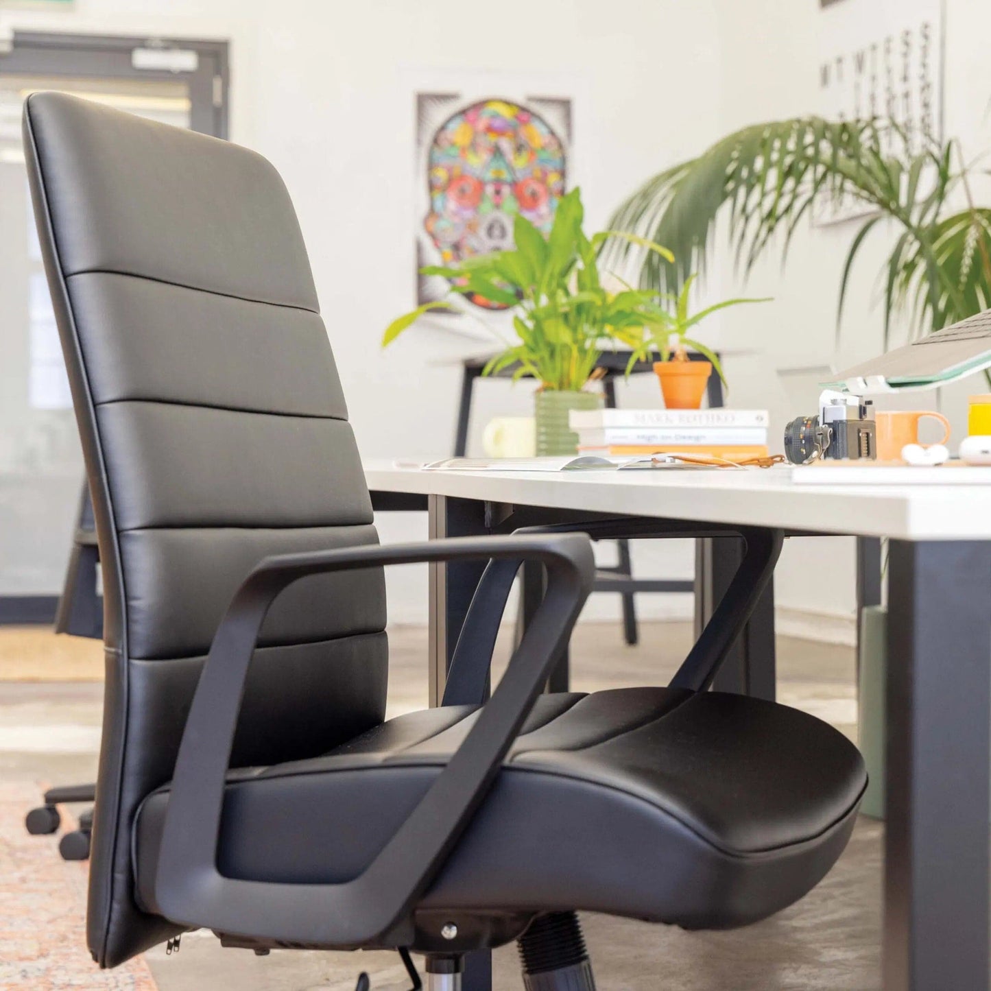 Mondo Plato Executive - McGreals