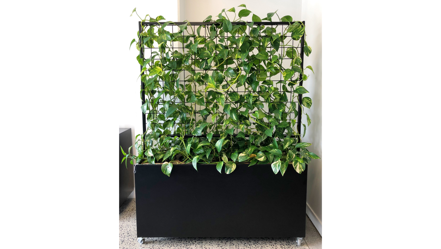 Mobile Planter Box - Clearance