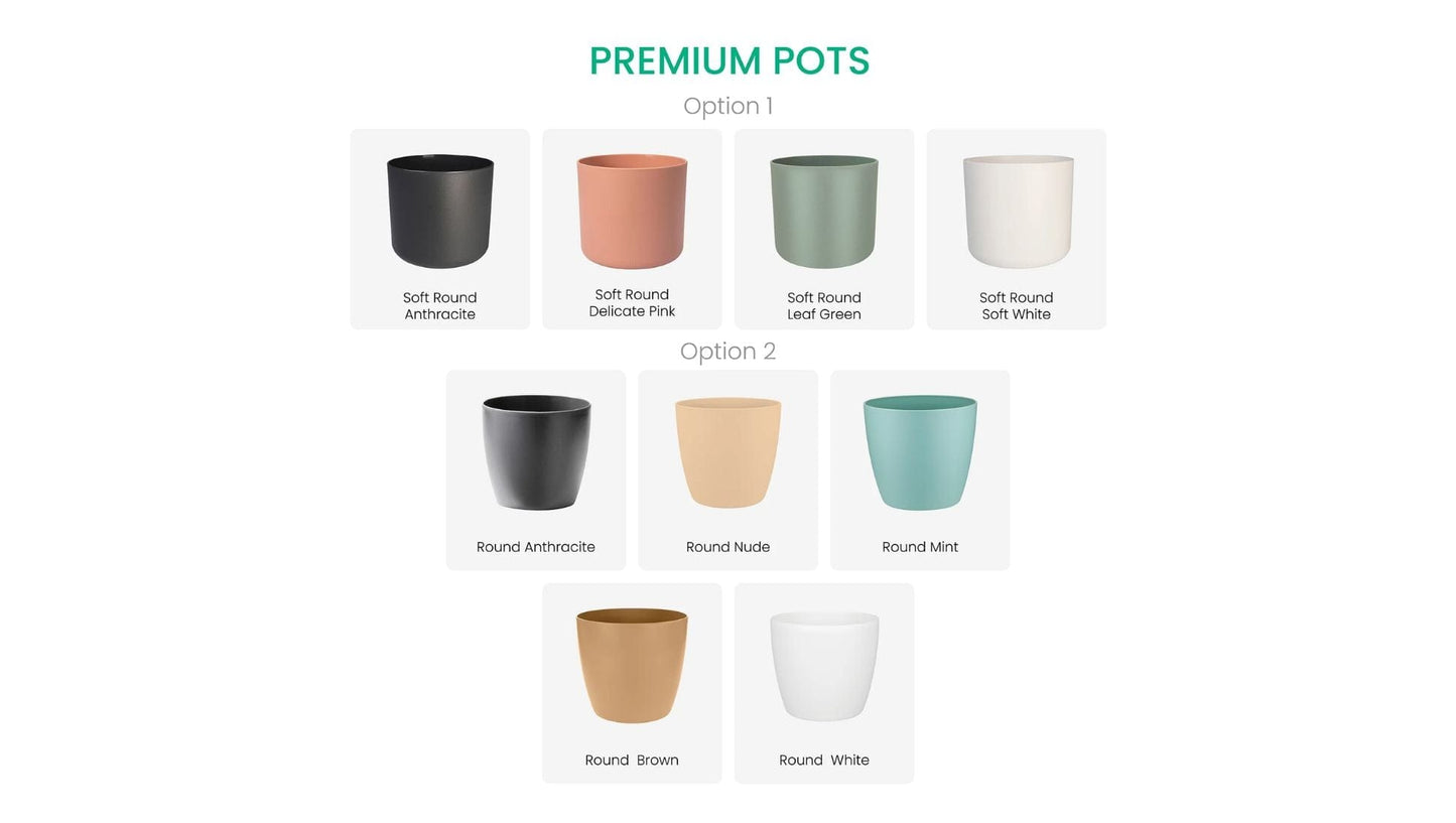 Accessories Connect Premium Pots