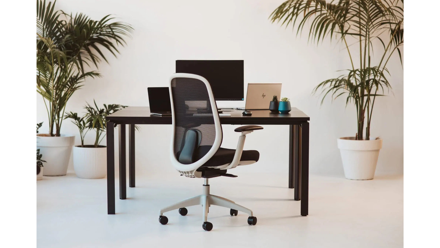 Force Chair - Special - McGreals