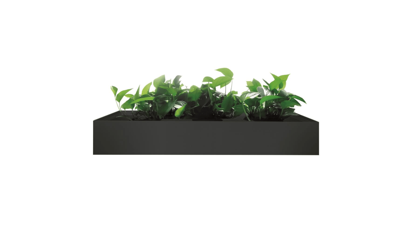 Filing and Storage Black / 900W Lane Planter Box