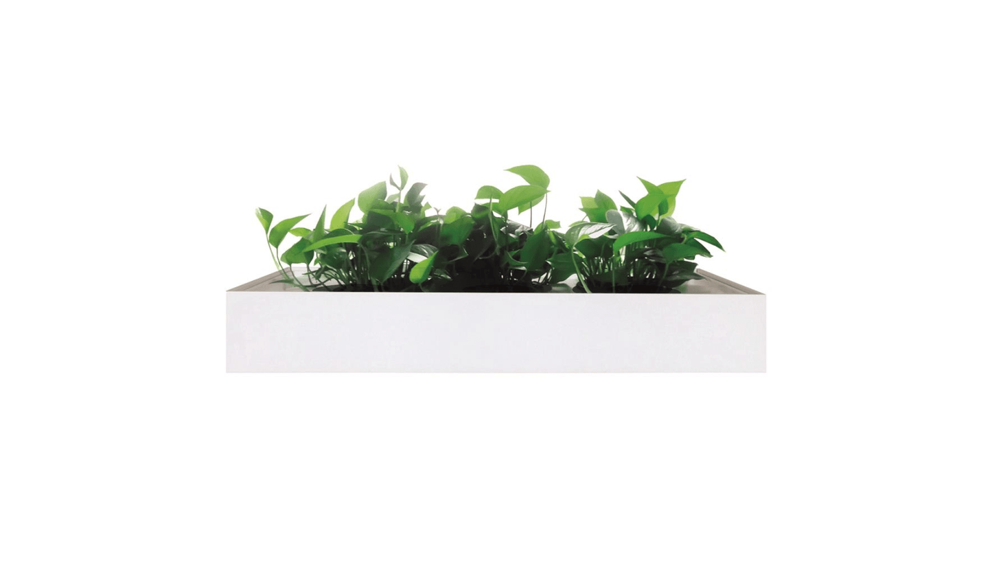 Filing and Storage White / 900W Lane Planter Box