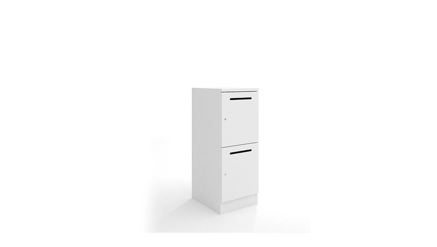 Filing and Storage Mascot Locker 2 x 1