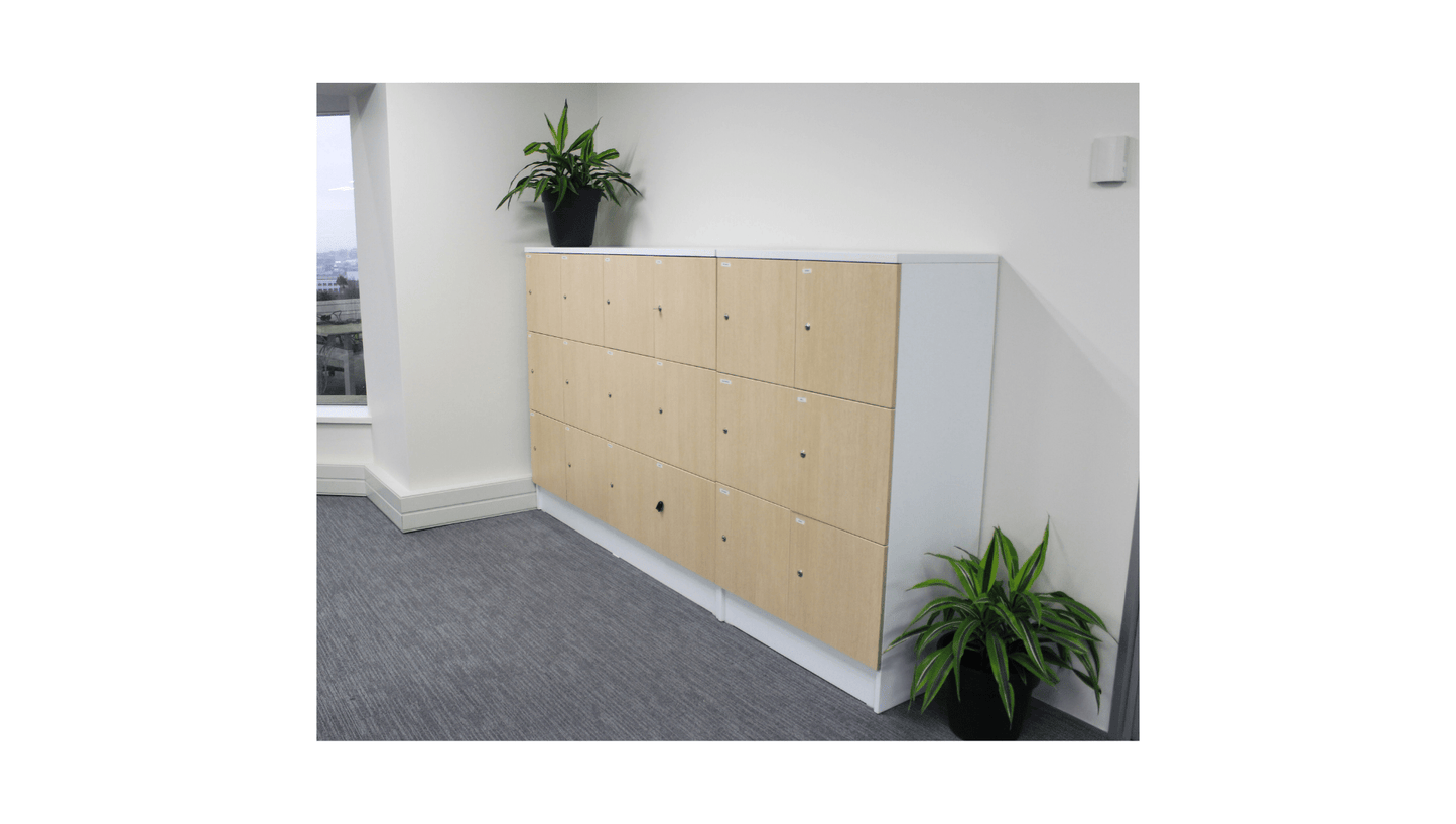 Filing and Storage Mascot Locker 3 x 2