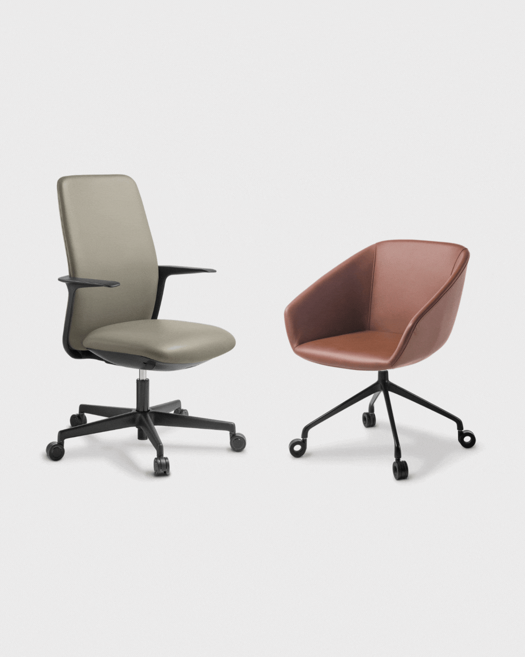 CHAIR OF THE MONTH