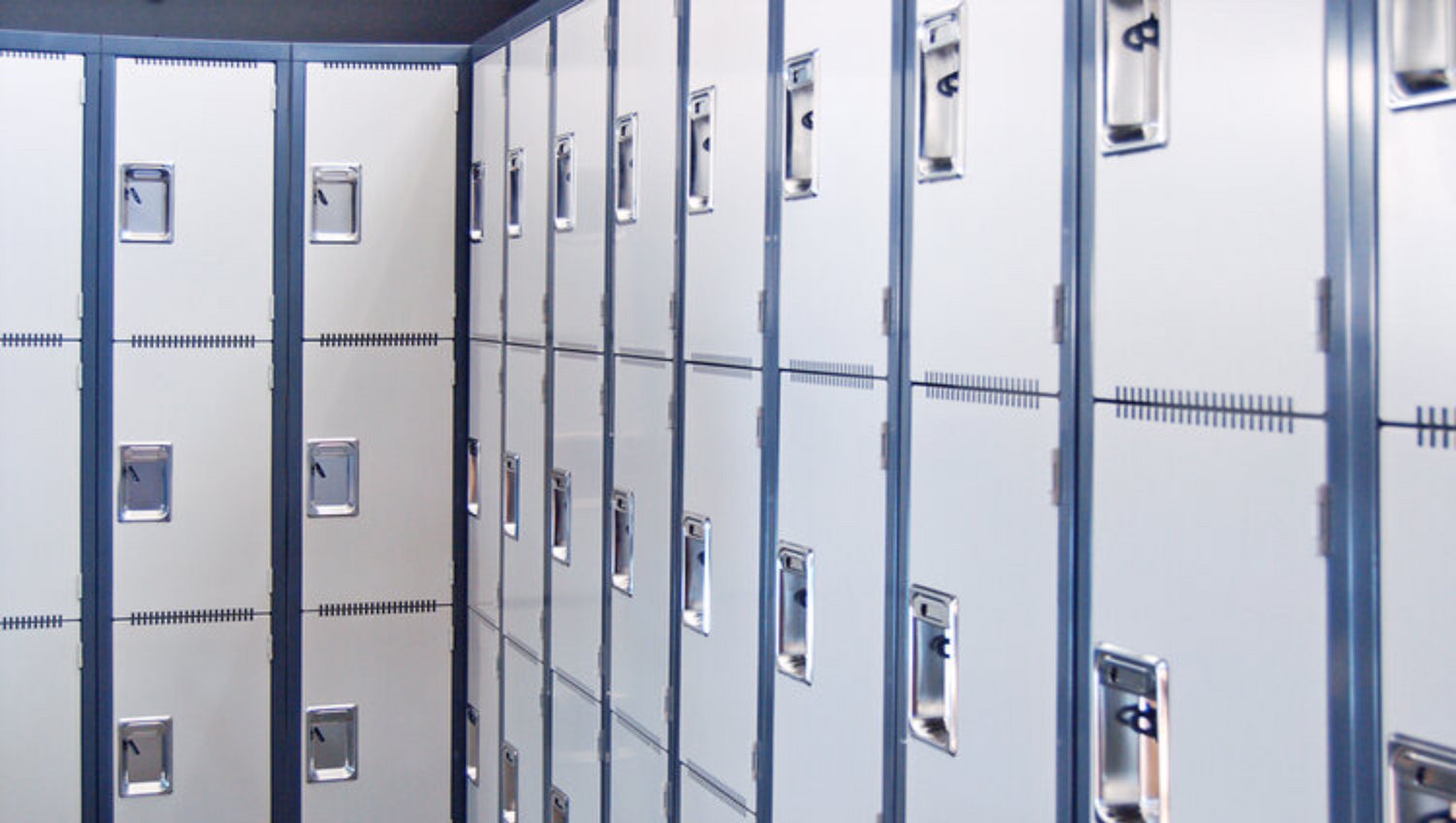 Heavy-Duty School Locker - McGreals