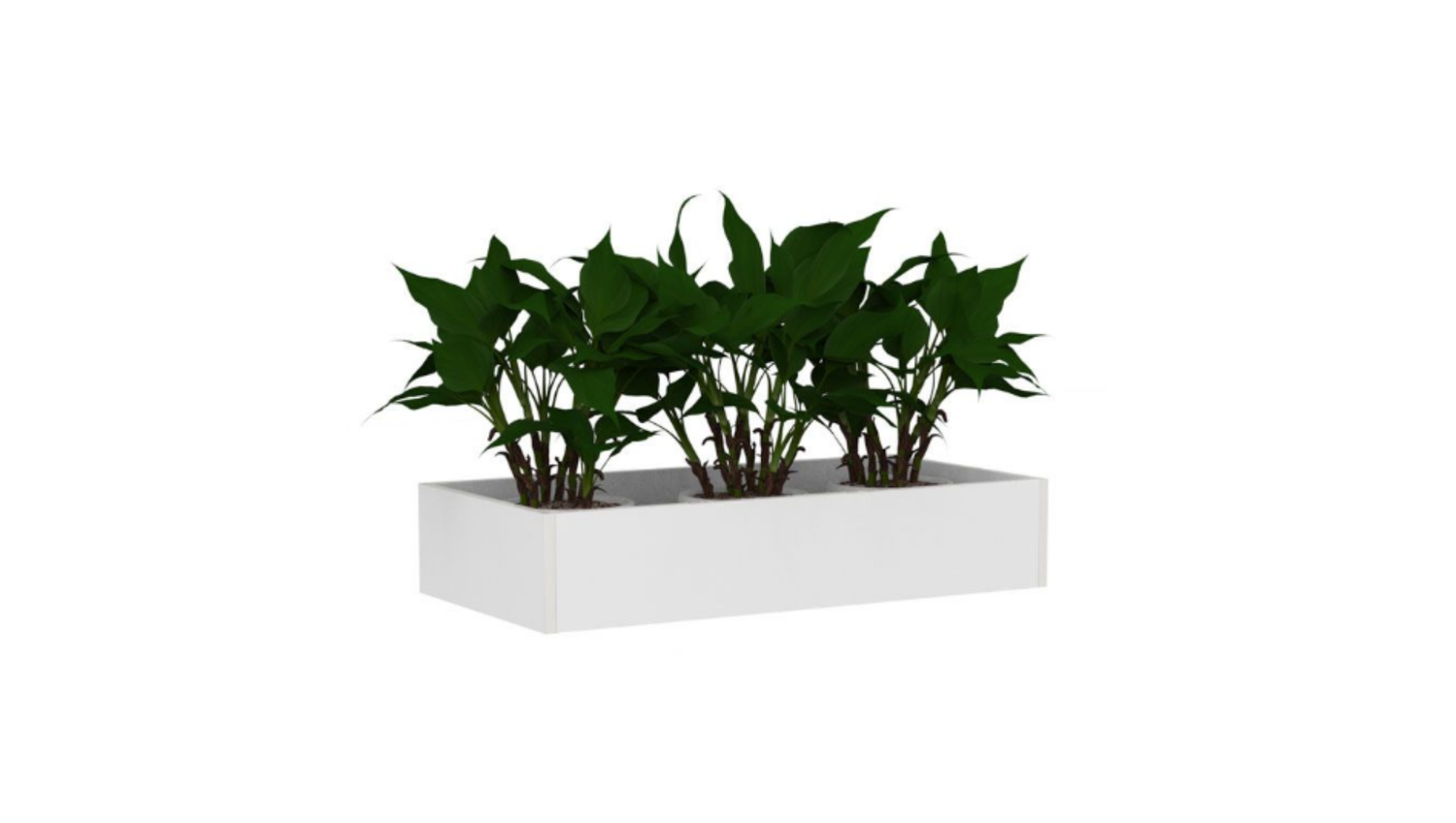 Cubit Planter Box - McGreals