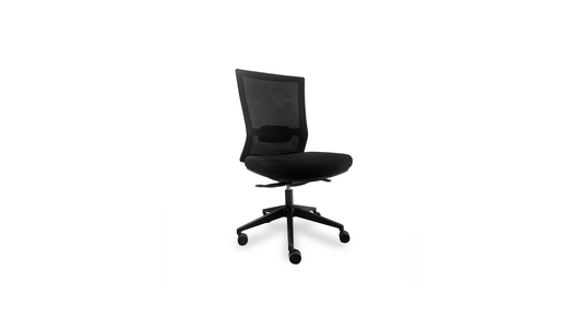 Seating Without Arms Active Task Chair