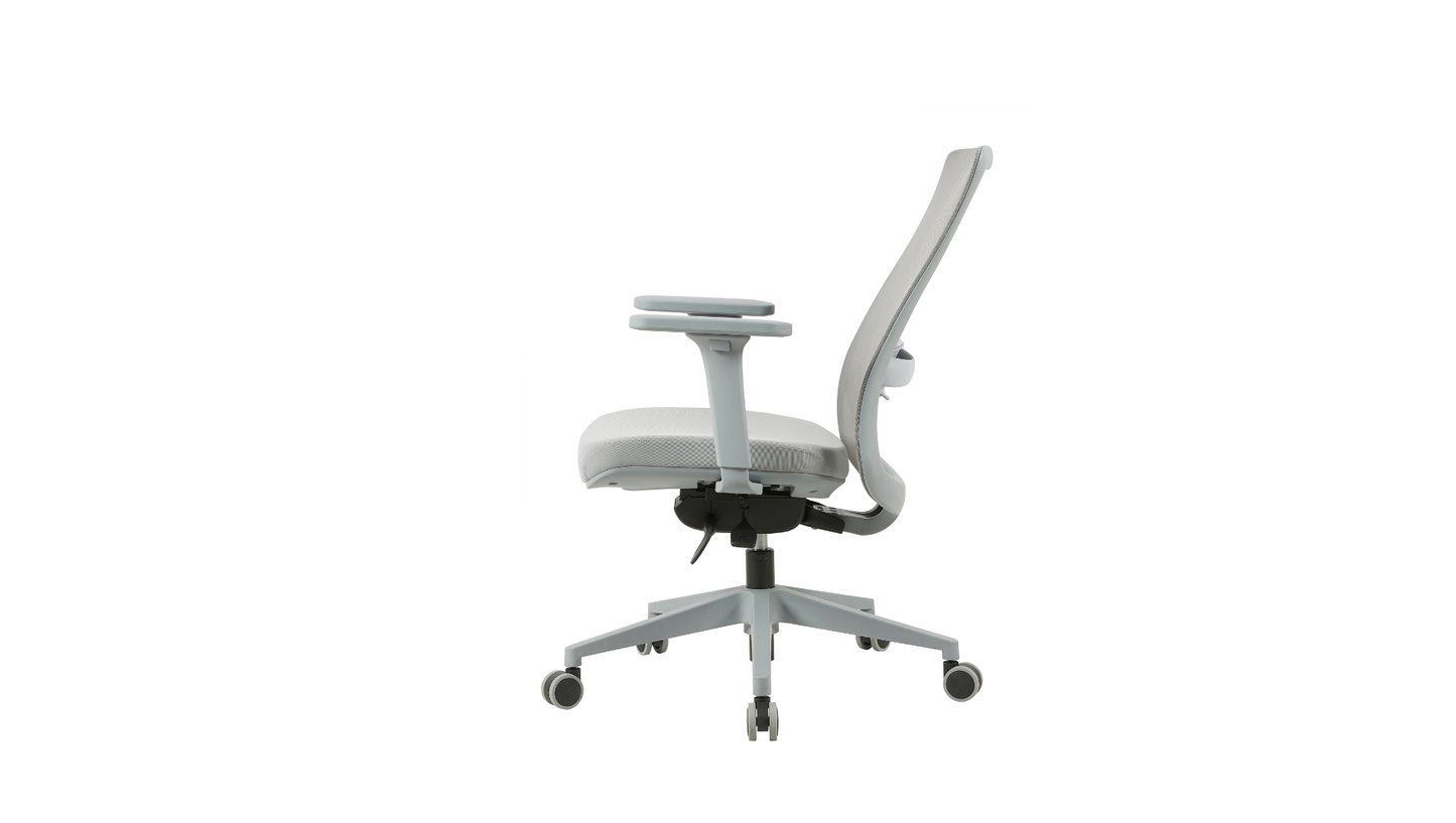 Aligna Chair (Exclusive) - McGreals