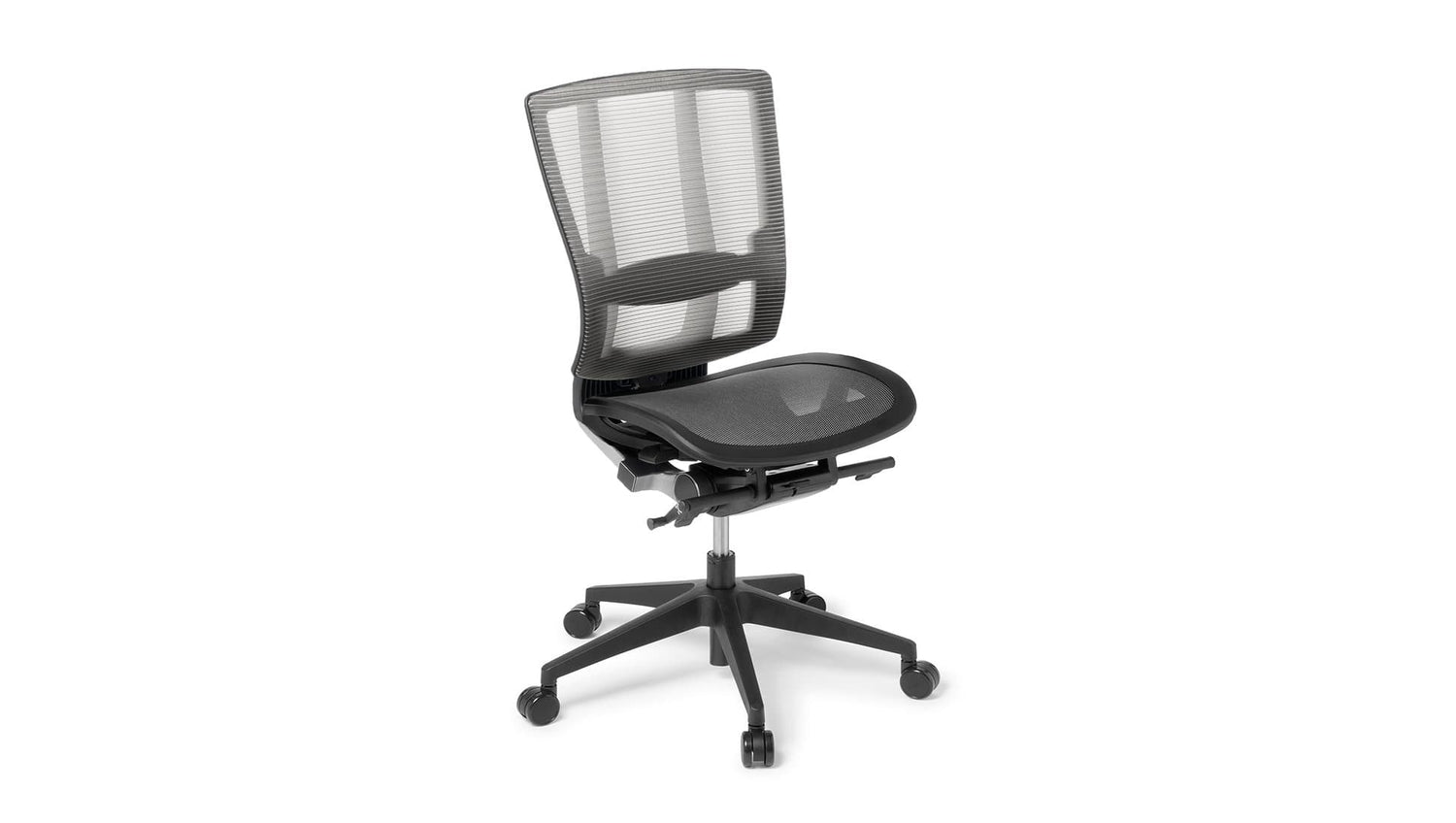Seating Mesh / Do not include / Black Nylon Cloud Ergo Chair