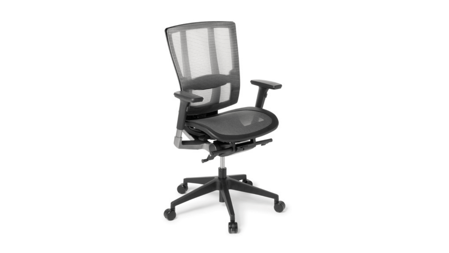 Seating Mesh / Include / Black Nylon Cloud Ergo Chair