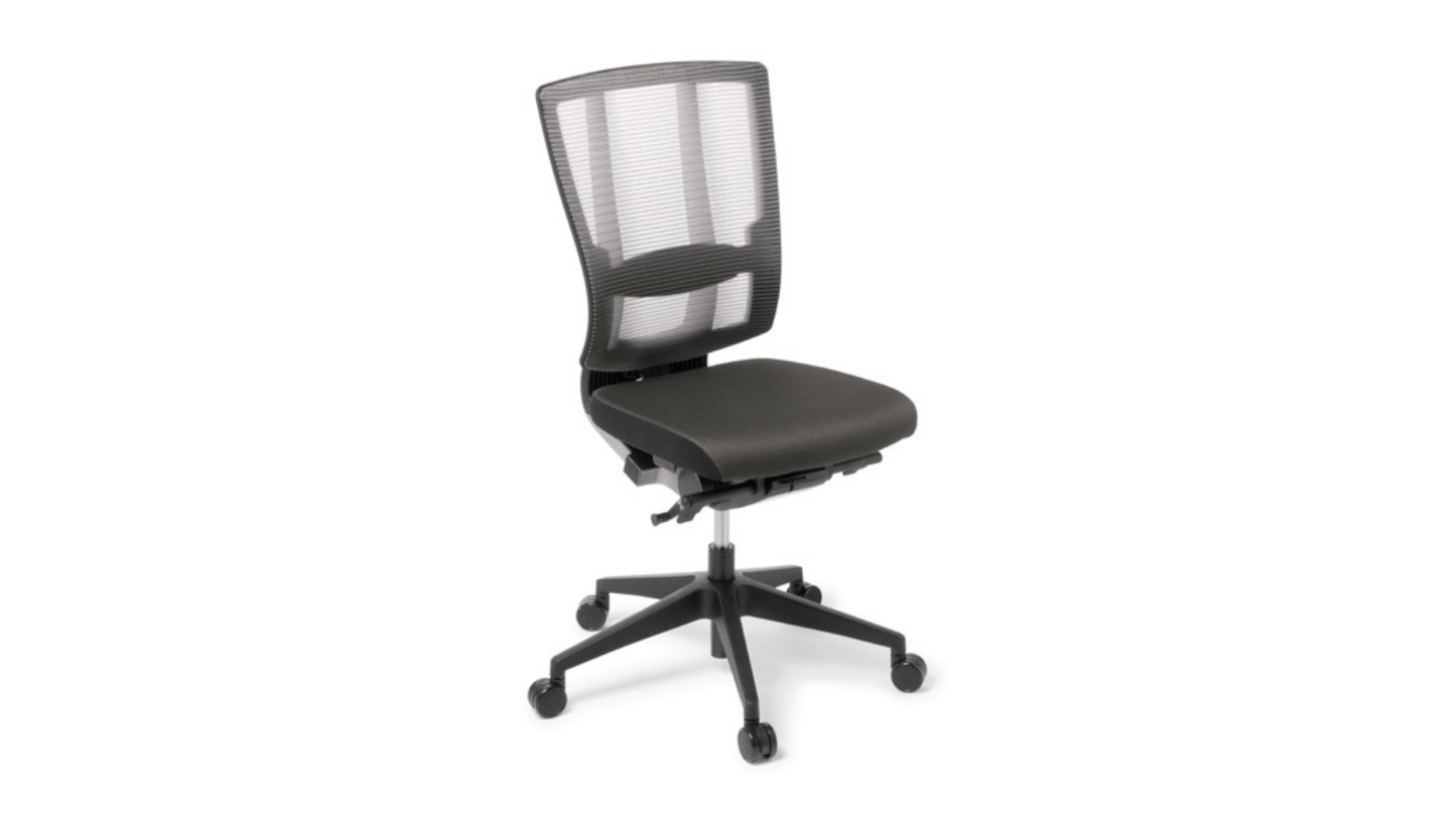 Seating Standard Charcoal / Do not include / Black Nylon Cloud Ergo Chair