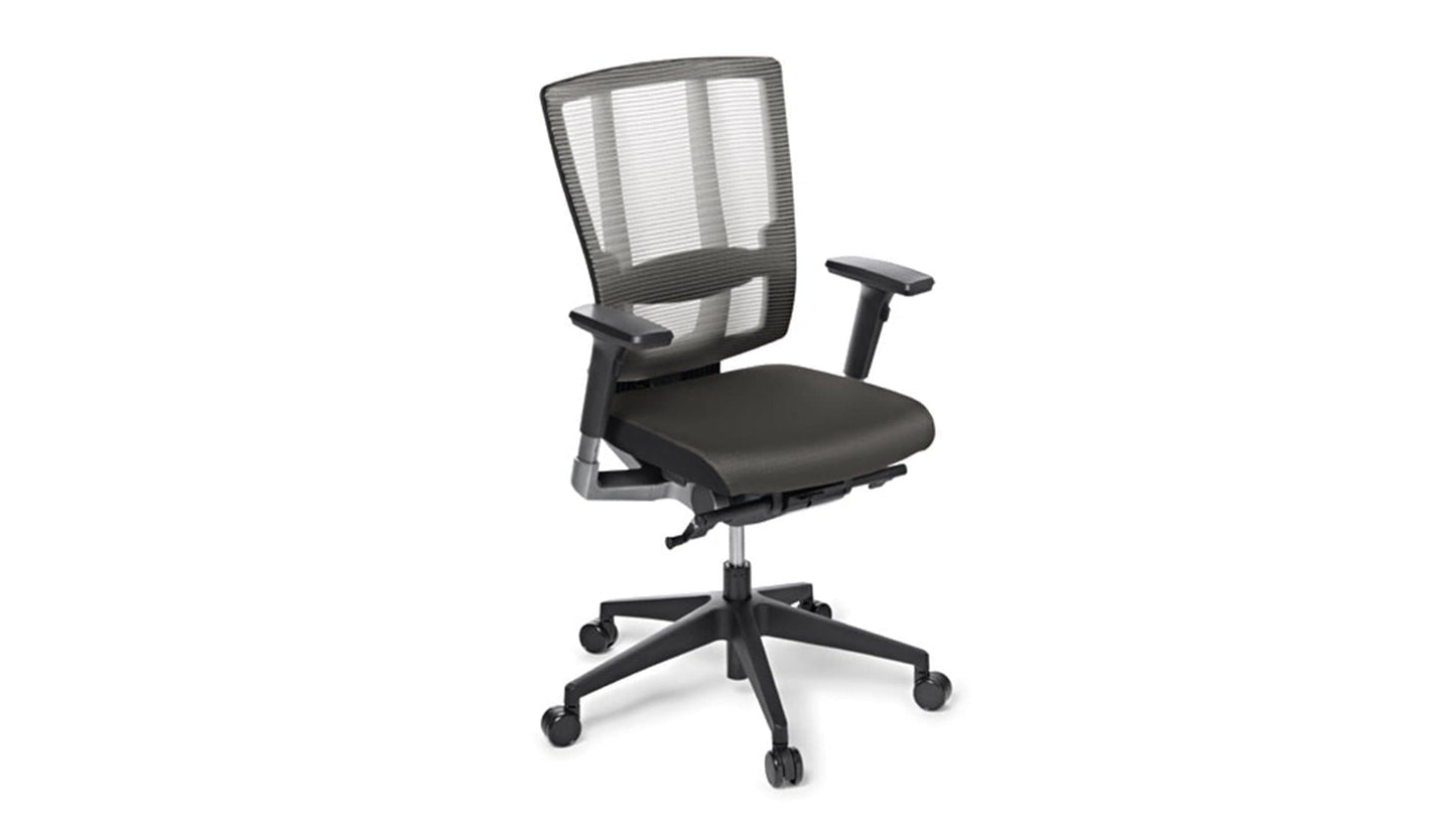 Seating Standard Charcoal / Include / Black Nylon Cloud Ergo Chair