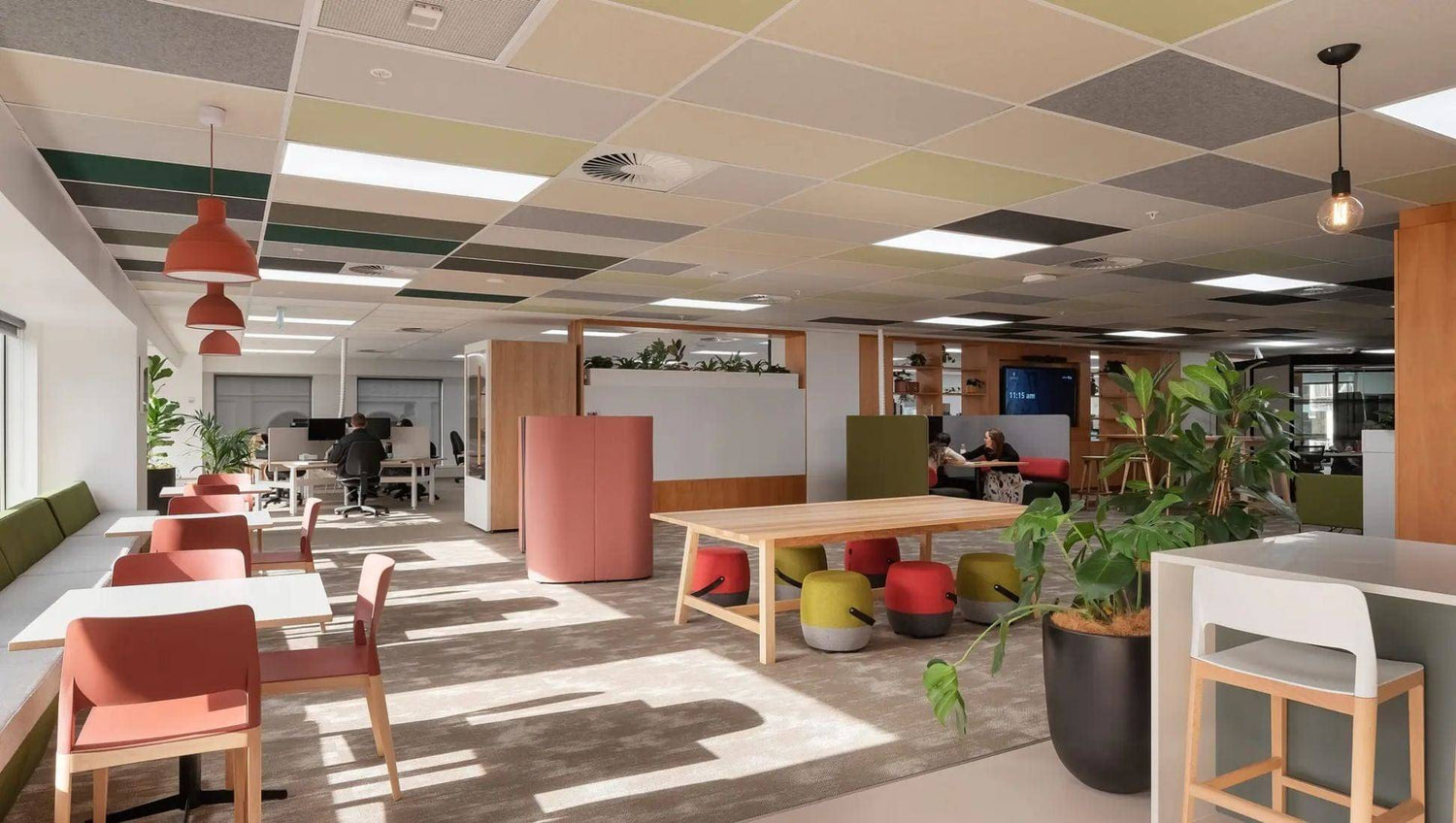 Accessories Color Accent Ceiling Tiles
