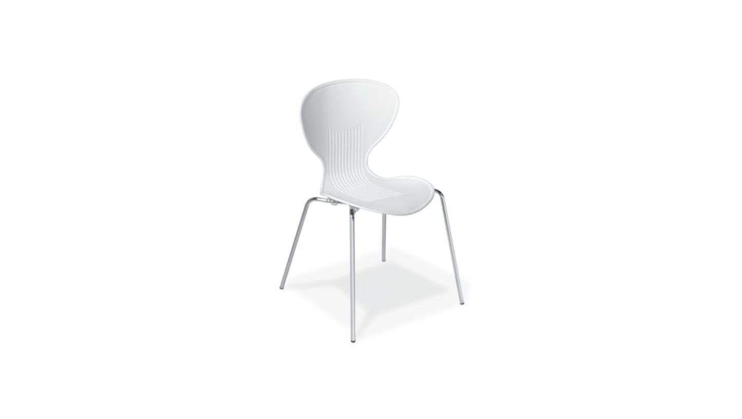 Seating White Echo Café Chair
