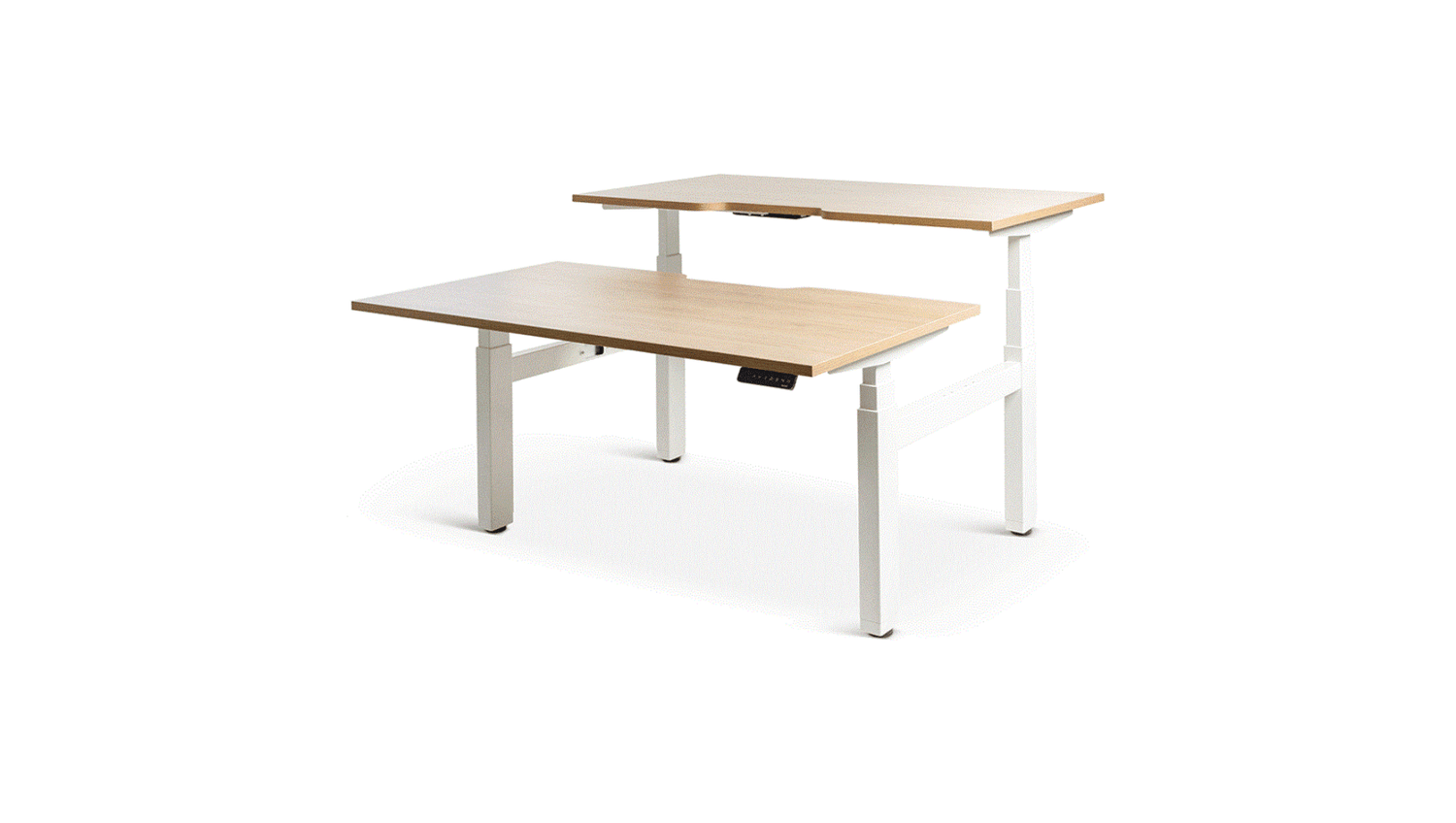 Desks 1500 x 800 / Autumn Oak / White Enhance Electric Height Adjustable Shared Desk
