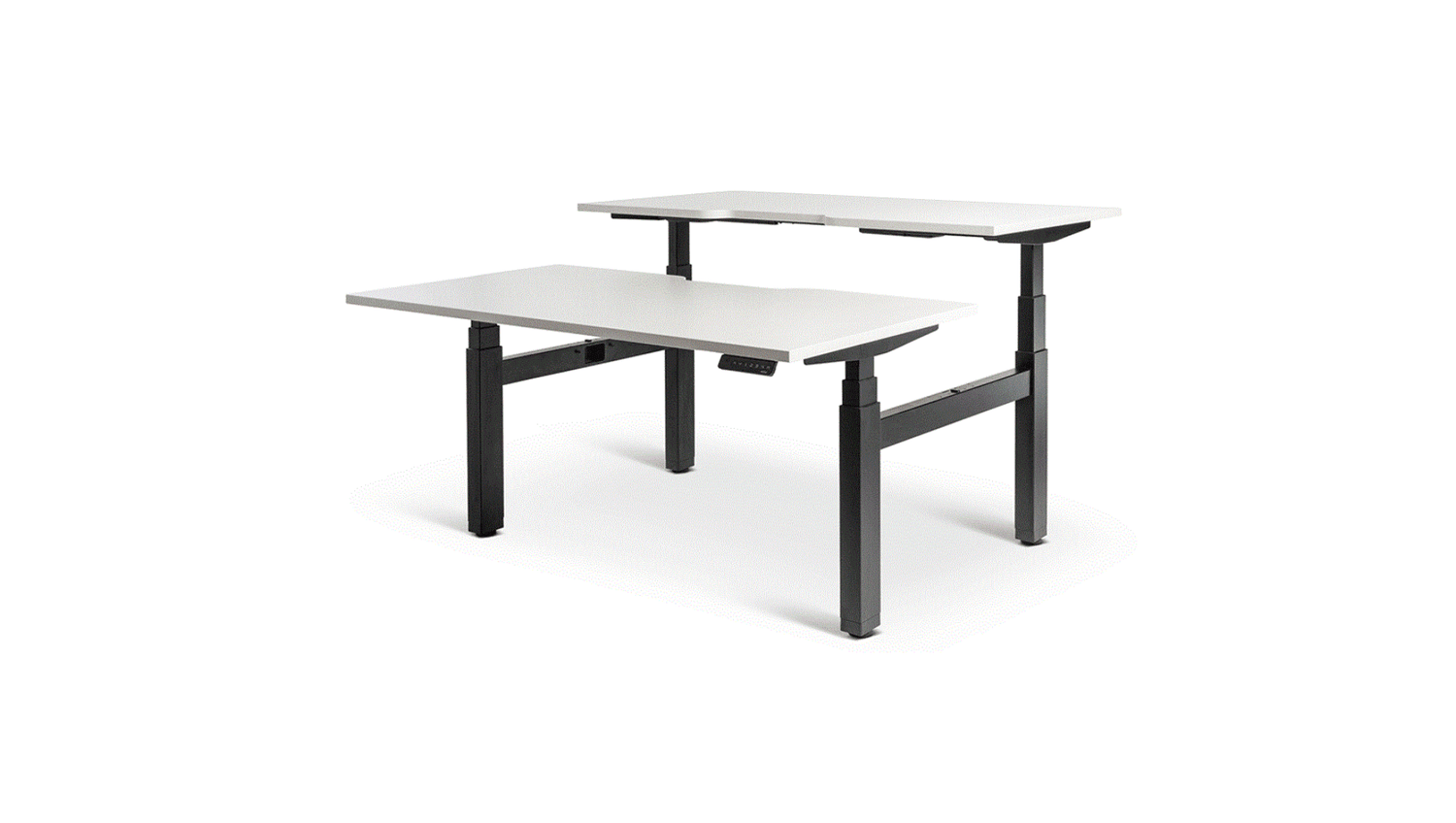 Desks 1500 x 800 / White / Black Enhance Electric Height Adjustable Shared Desk