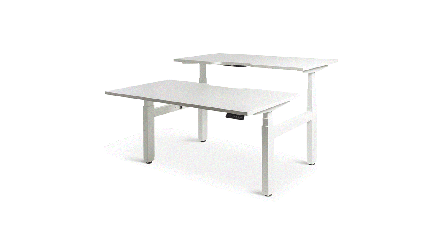 Desks 1500 x 800 / White / White Enhance Electric Height Adjustable Shared Desk