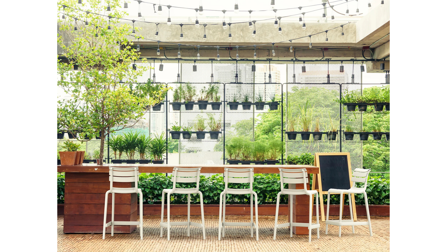 Helen Stool - McGreals