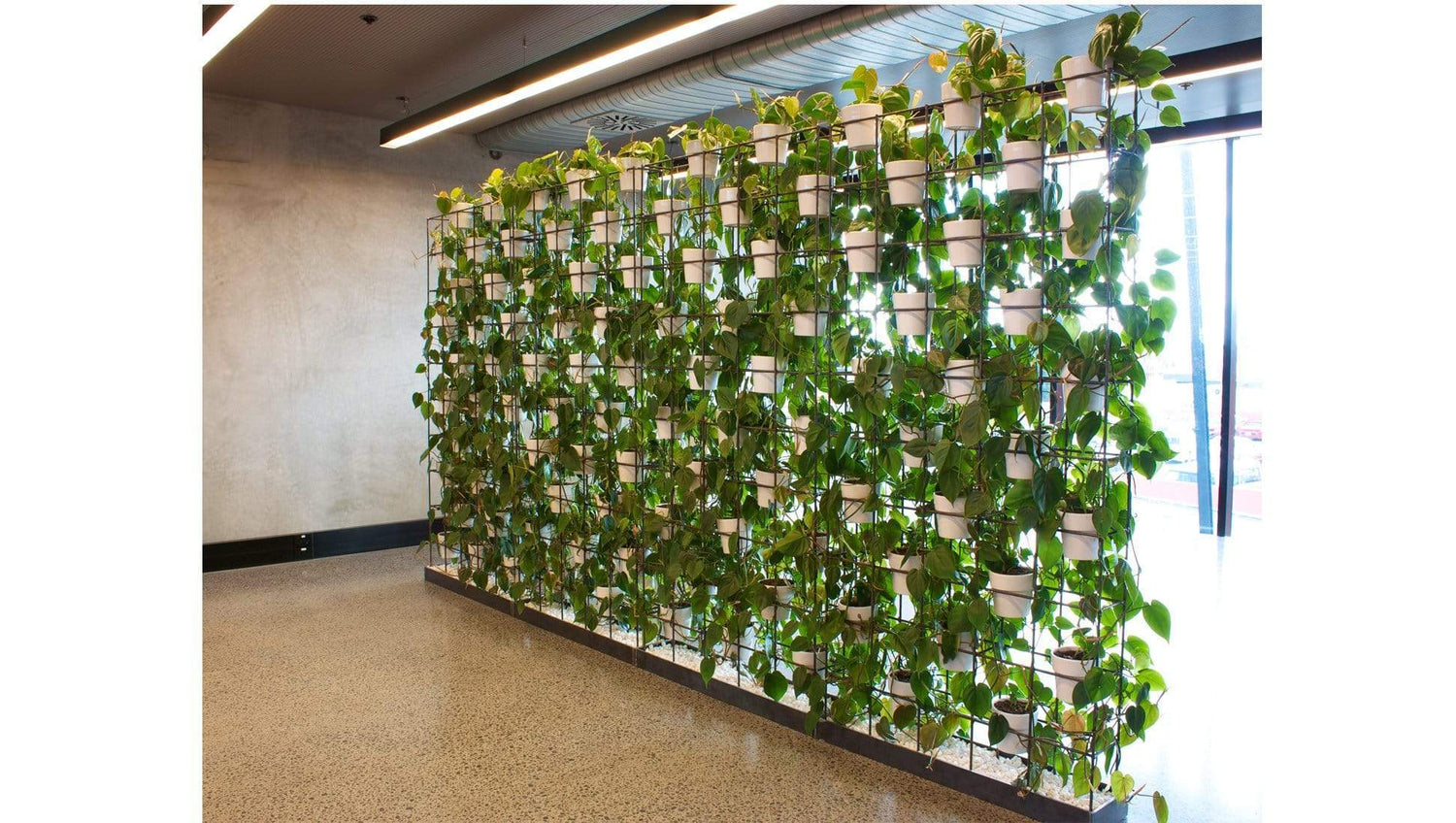 Accessories Plant Walls