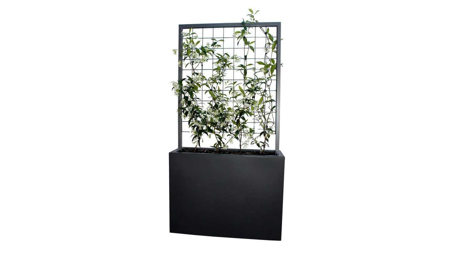 Accessories Plant Walls