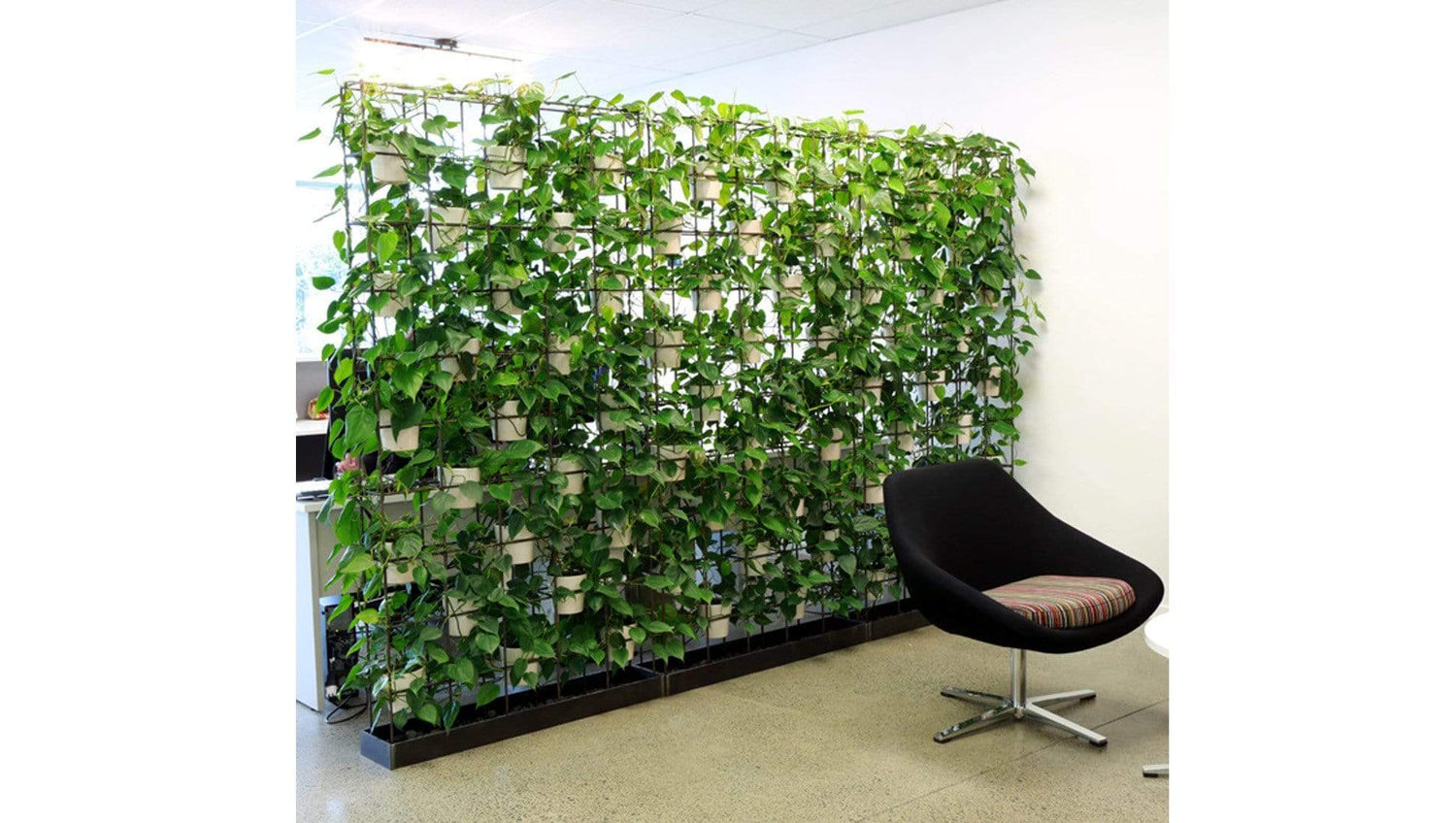 Accessories Plant Walls