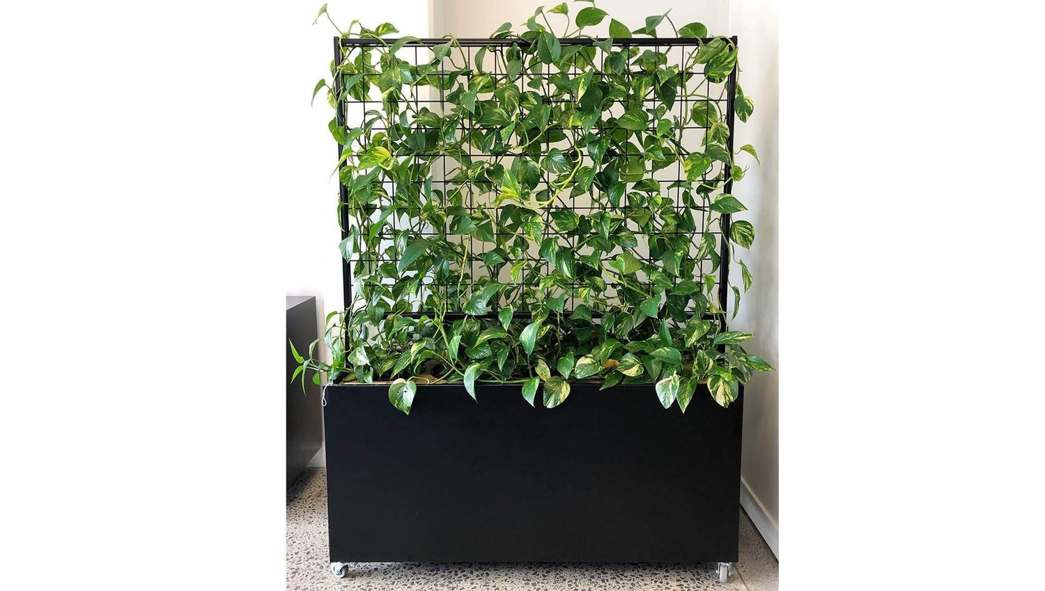 Accessories Plant Walls