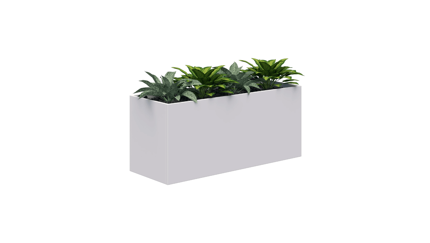 rapid plant liner 600H x 900L / White / Option 1 Rapid Planter