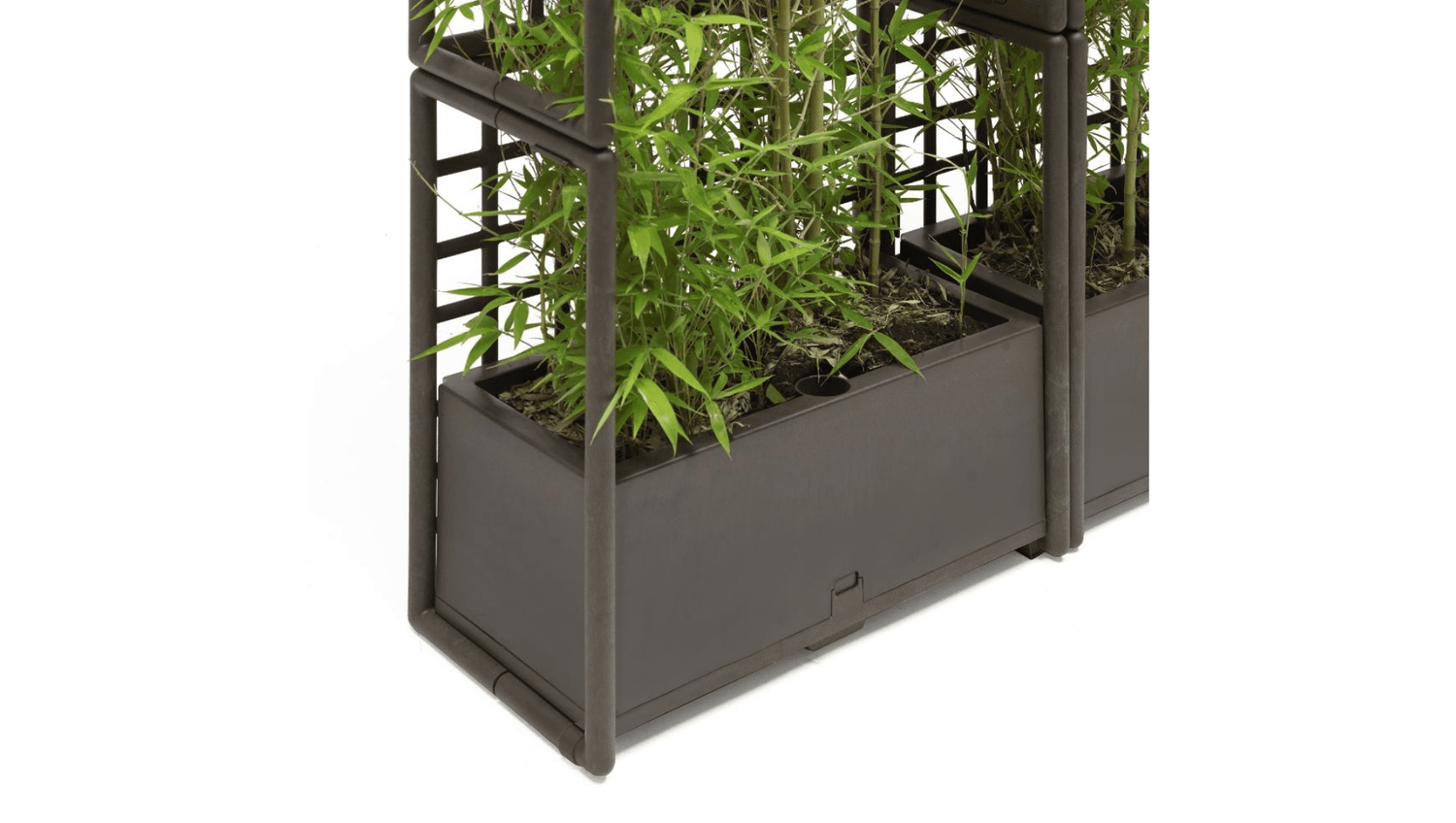 Accessories Sipario Eco Wall Planter